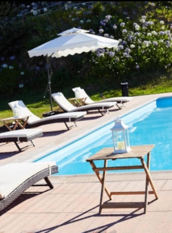 Quinta Do Lordelo Turismo Rural 佩纳菲耶尔 外观 照片